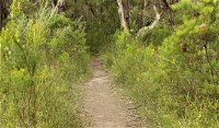 Three Views walking track - Tourism Caloundra