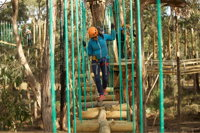 Trees Adventure Yeodene Park - Accommodation Bookings