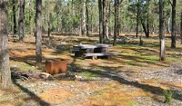 Two Dams picnic area - ACT Tourism