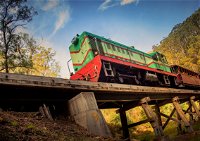 Walhalla Goldfields Railway - Broome Tourism