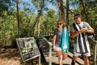 Wangi Falls - Attractions Perth