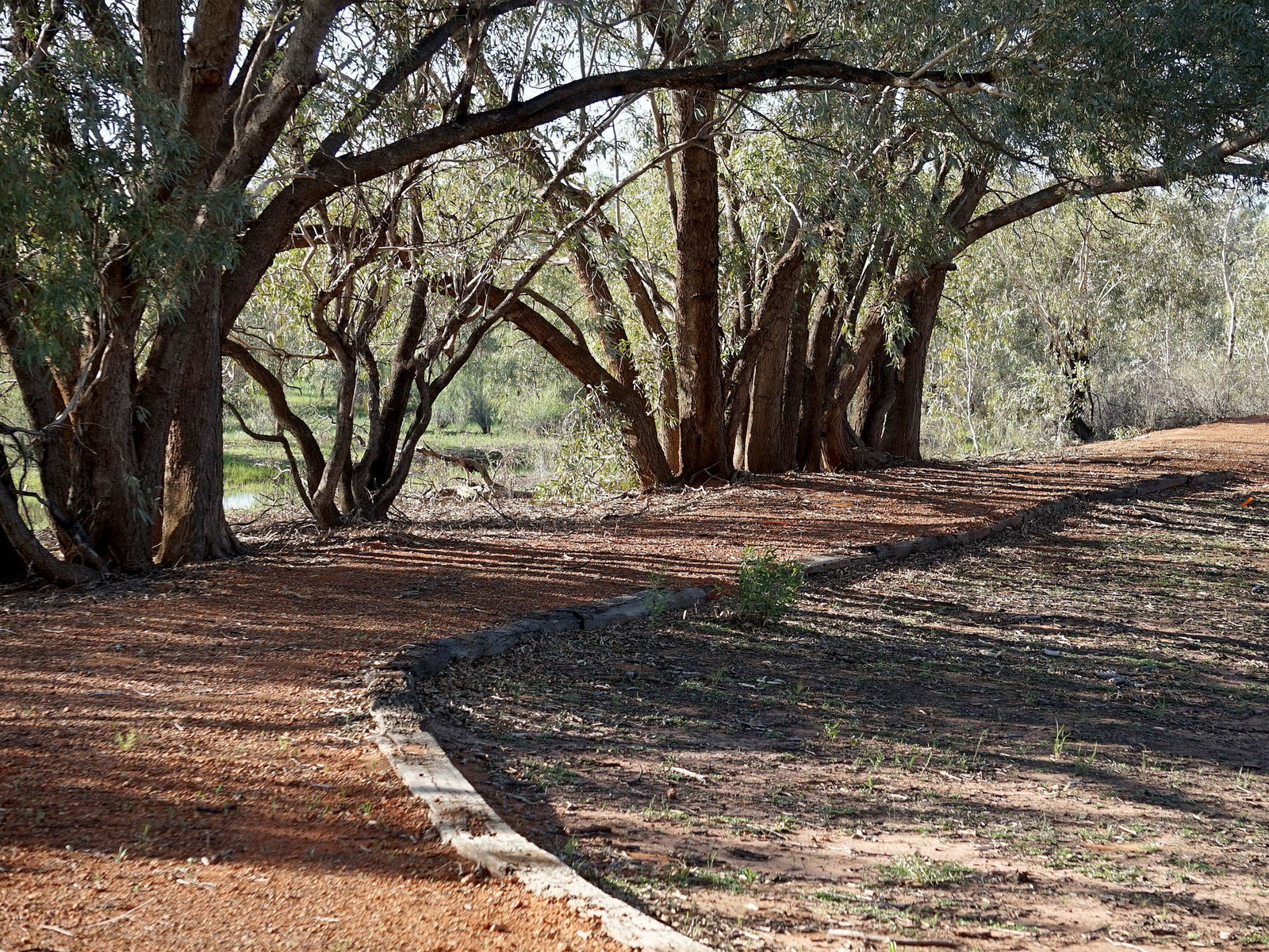 Louth NSW Tourism Caloundra