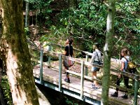 Watagans National Park - Accommodation Mount Tamborine
