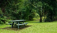 Williams River picnic area - Accommodation Cooktown