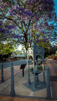 Witcombe Fountain - Accommodation Cooktown