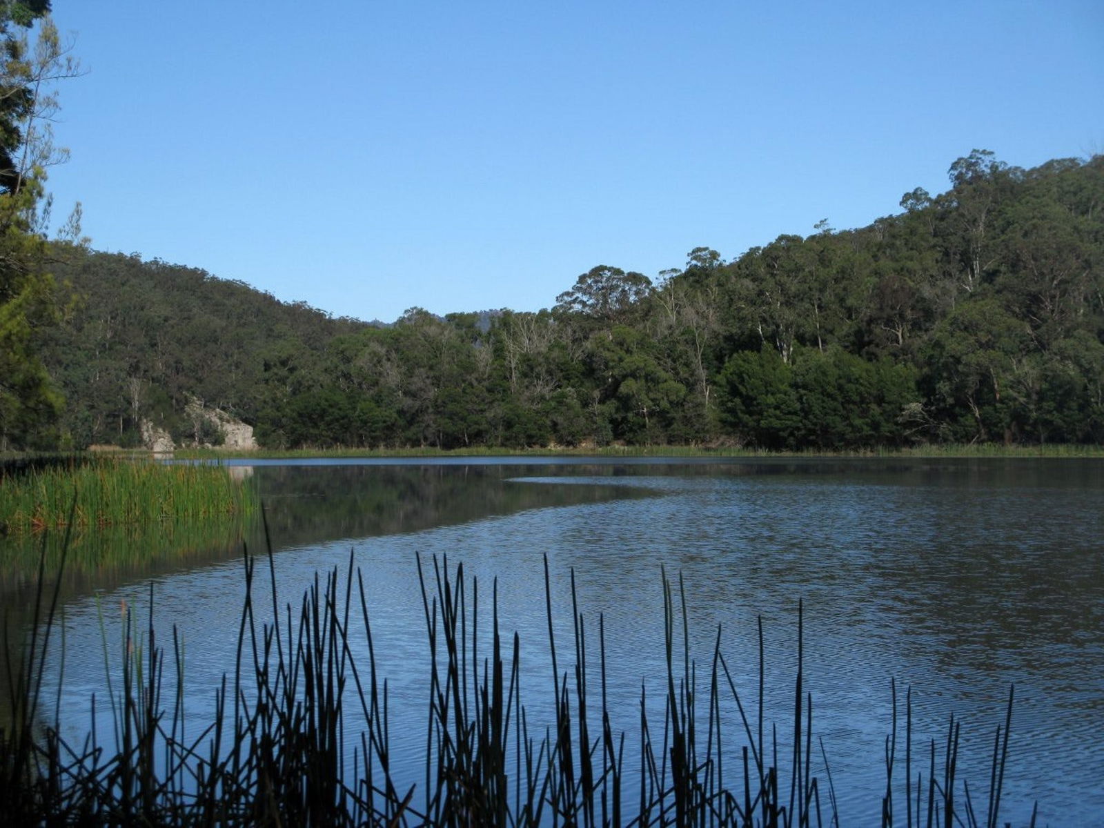 Yalwal NSW Bundaberg Accommodation