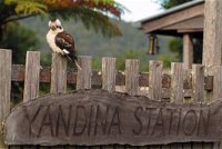 Yandina - Accommodation Cooktown