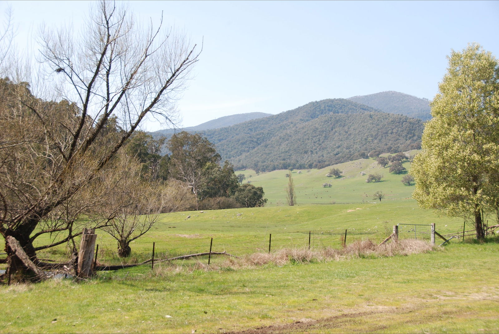 Dartmouth VIC Accommodation Ballina