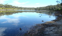 Berrara Creek - ACT Tourism