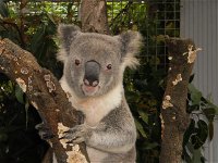 Birdland Animal Park - Attractions Brisbane