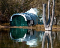 Boshack Outback - Accommodation Noosa