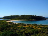 Broulee Island Nature Reserve Walk - Accommodation Tasmania