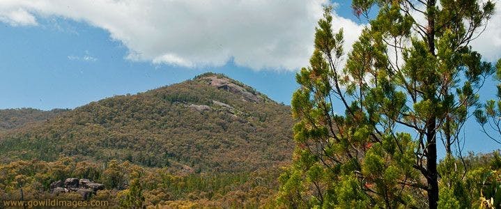 Tintaldra VIC Accommodation Mount Tamborine