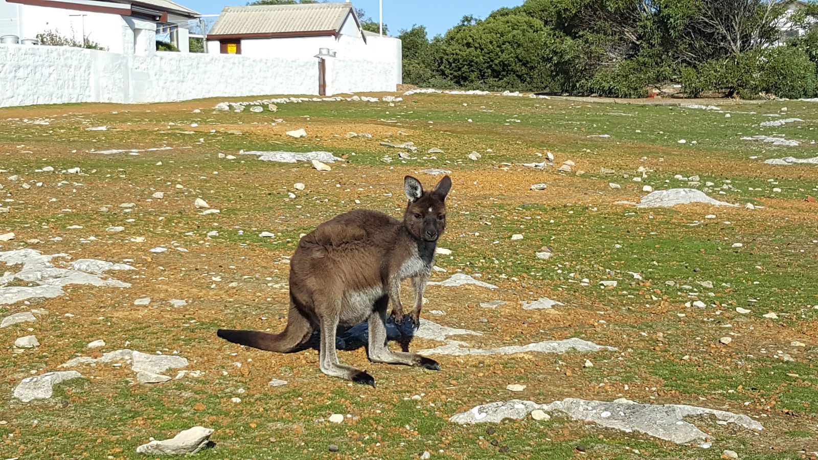 Newland SA WA Accommodation