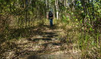 Cliff Face track - Accommodation Cairns