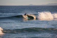 Coffs Coast State Park - Attractions