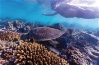 Complete Ningaloo Reef Experience - Mackay Tourism