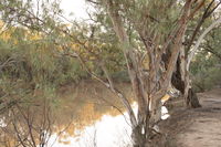 Eulo Town Hole - Broome Tourism