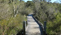 Falcon Crescent Link Track - Sydney Tourism