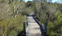 Falcon Crescent Link Track - Attractions