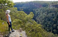 Glenbrook Gorge Track - Gold Coast Attractions