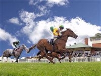 Goulburn and District Racing Club - Tourism Search
