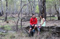 Gunbower Island Forest Drive - Accommodation Redcliffe