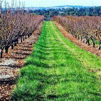 Hall Family Orchards - Attractions Melbourne