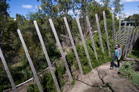 Herring Island Environmental Sculpture Park - Accommodation Broken Hill