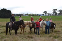 High Country Trail Rides - Accommodation BNB