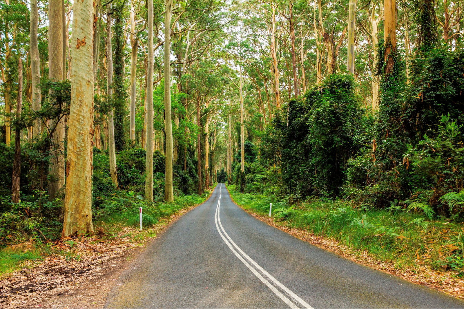 Kioloa NSW Nambucca Heads Accommodation