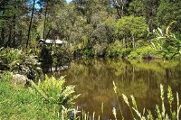 Kurth Kiln Regional Park - Accommodation Tasmania