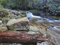 Liffey Falls Reserve - QLD Tourism