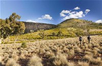 Little Mountain Walking Track - Attractions Perth