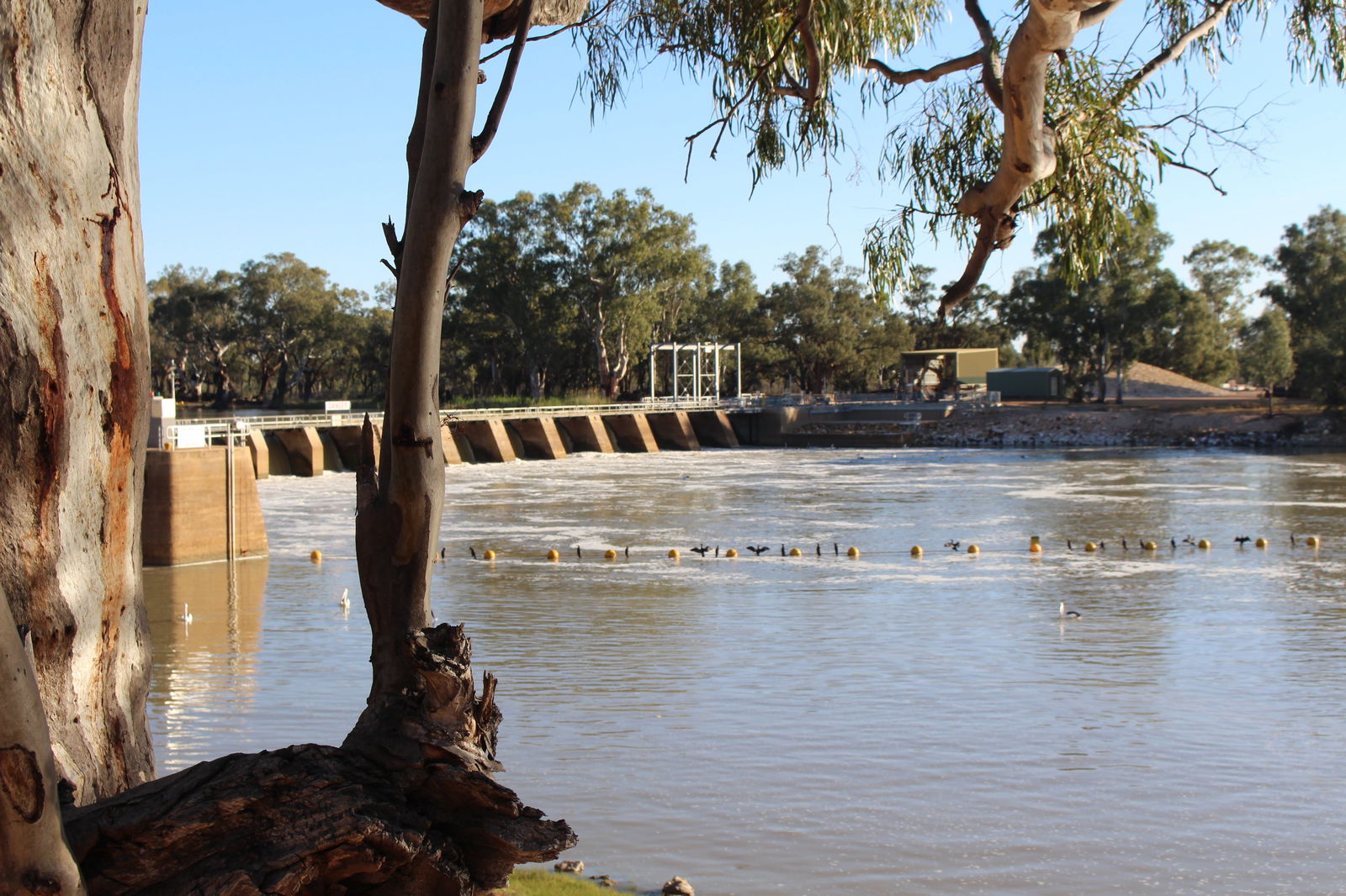 Wynarka SA Redcliffe Tourism