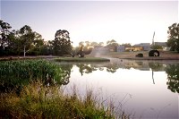 McClelland Sculpture Park  Gallery - Find Attractions