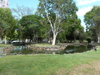 McIntosh Island Park - Accommodation Noosa