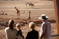 Monarto Safari Park - Accommodation Bookings