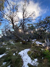 Mount Torbreck Summit Walk - Tourism Canberra