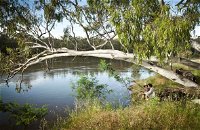 Murray Valley National Park - Accommodation Redcliffe