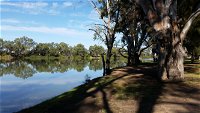 Murray River National Park - Katarapko - Accommodation Daintree