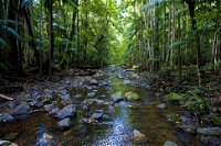 Nambucca Valley - Accommodation Cooktown