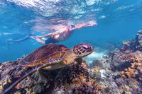 Ningaloo Marine Park - Accommodation Tasmania