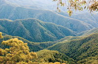 Point Lookout Walking Track - Stayed