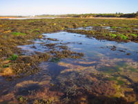 Point Danger Marine Sanctuary - Accommodation Airlie Beach