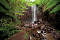 Queen Mary Falls circuit Main Range National Park - Accommodation Nelson Bay