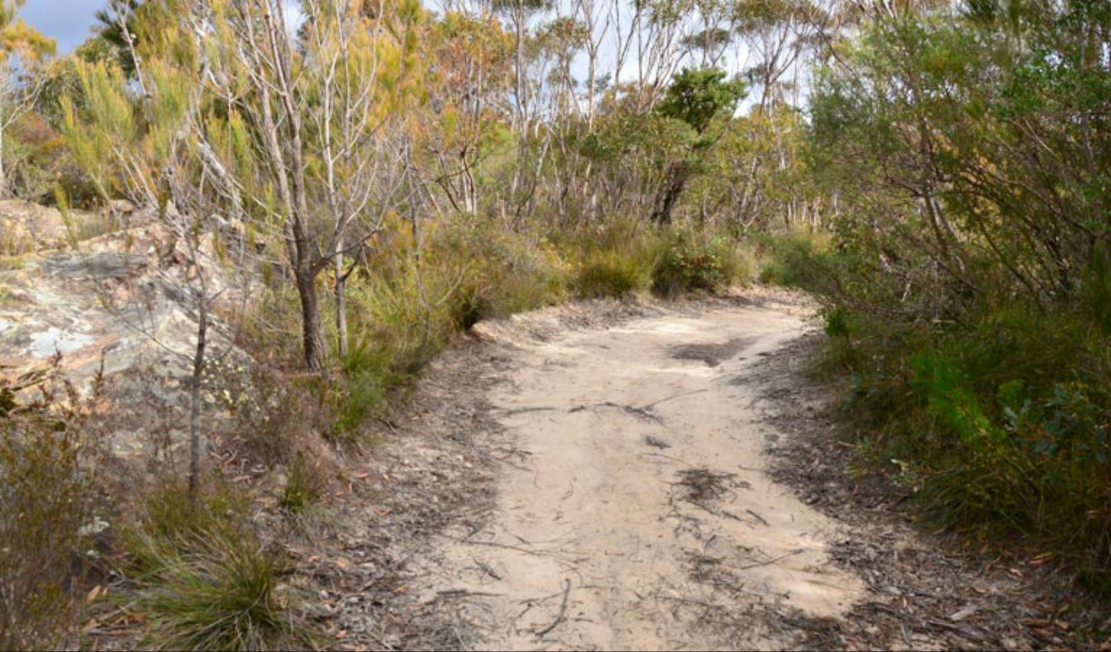 Browns Mountain NSW Accommodation QLD