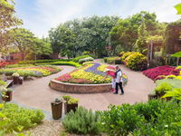 Roma Street Parkland - Accommodation Broken Hill