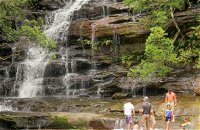 Somersby Falls Picnic Area - Gold Coast Attractions