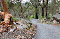 Stepping Stone Crossing to Cascades Trail - Accommodation ACT